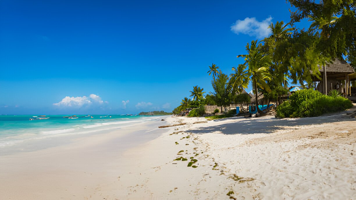 Zanzibar- Beaches