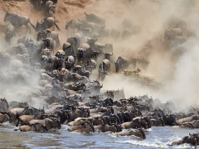 migration-safaris3